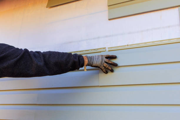 Best Custom Trim and Detailing for Siding  in La Honda, CA